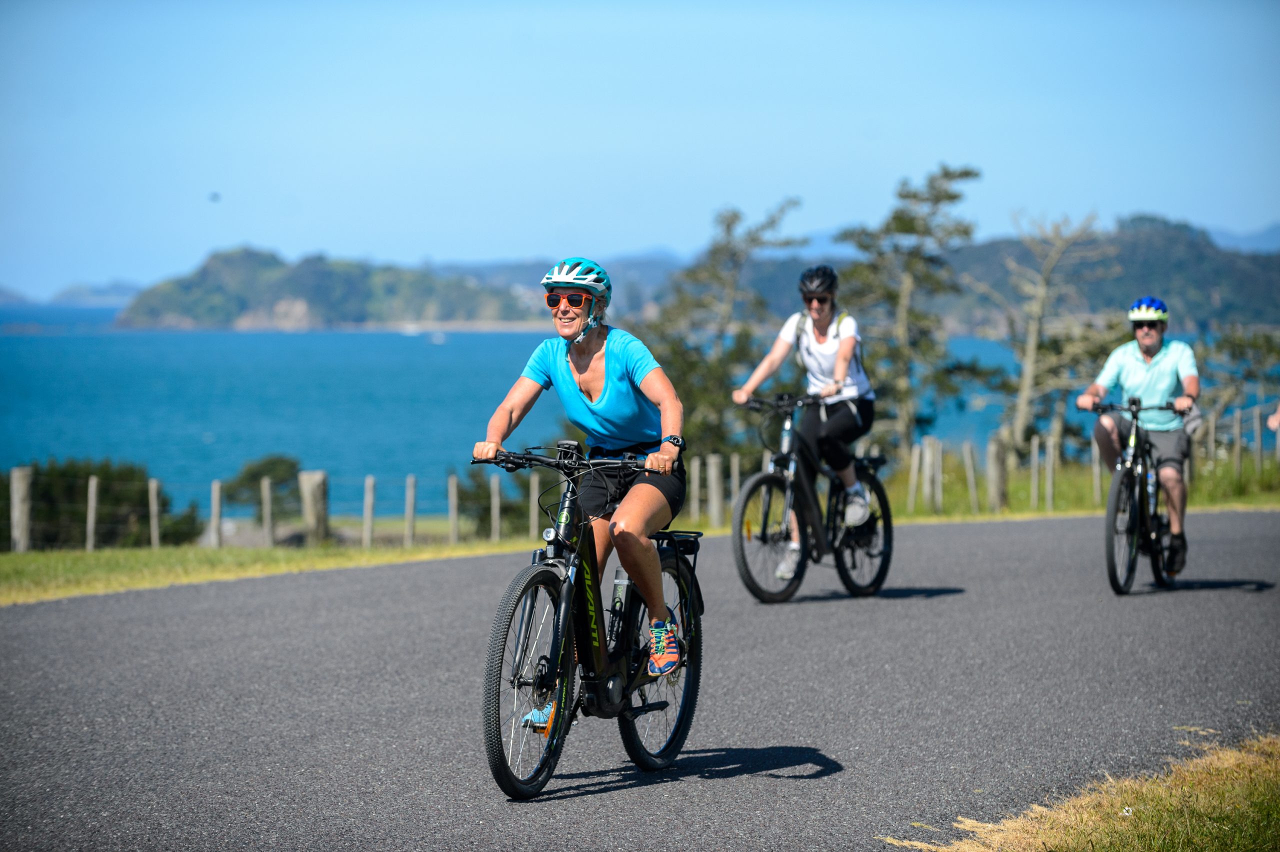 Exploring the North by bike - Northland Experiences